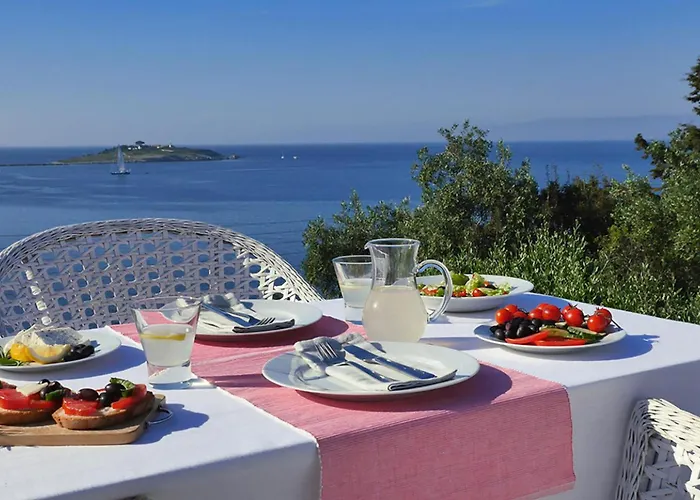 The Artists House * Οζιάς